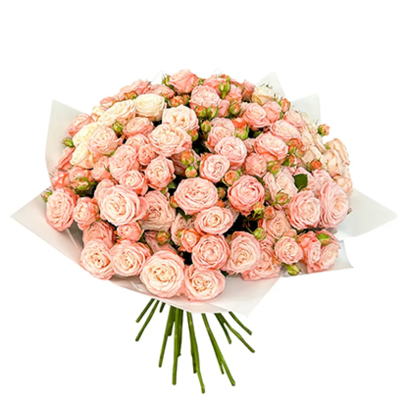 Букет из 29 кустовых роз, доставка Врангель (Прим. Кр.)